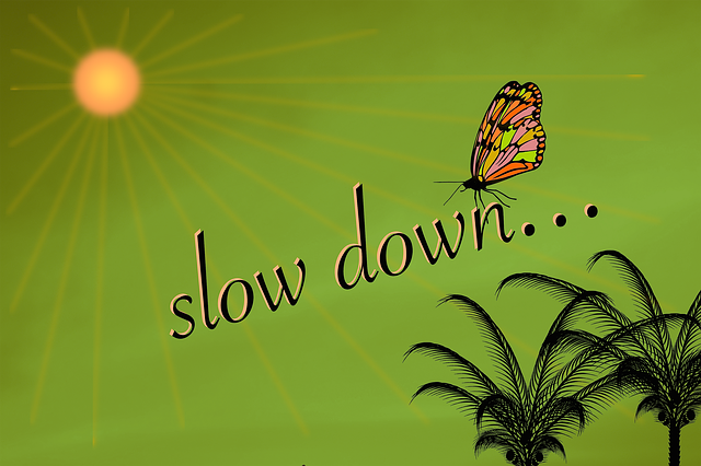 422737 / Pixabay