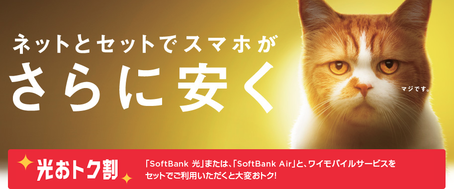 ワイモバイル 光おトク割